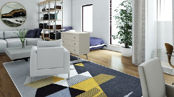 carpet-des2